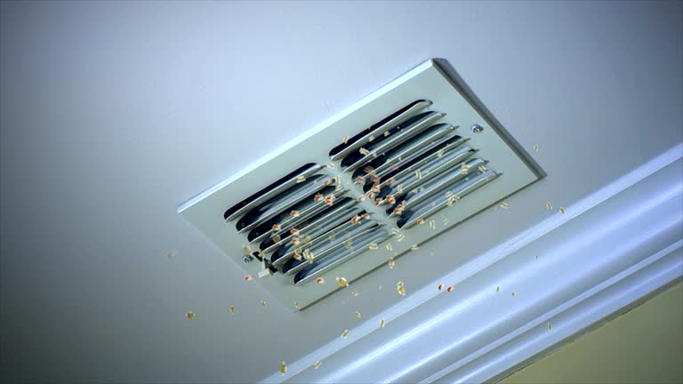 Best Home Air Vent Cleaning  in Bismarck, ND