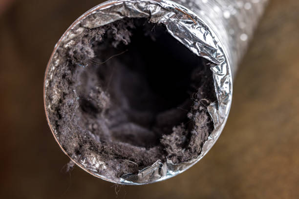 Best Ductwork Cleaning Services  in Bismarck, ND